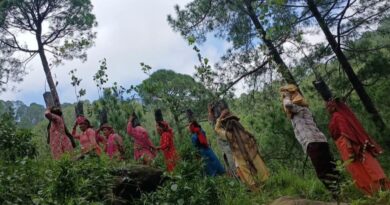 How Mandi’s Women & Youth Are Turning Barren Hills Green – And Building Their Own Lives Around It