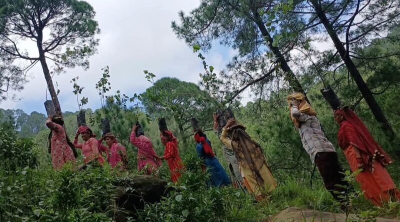 How Mandi’s Women & Youth Are Turning Barren Hills Green – And Building Their Own Lives Around It How Mandi’s Women & Youth Are Turning Barren Hills Green – And Building Their Own Lives Around It HIMACHAL HEADLINES