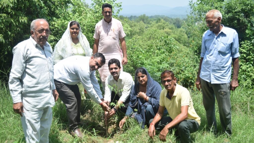 Climate-Resilient Tree Plantation Takes Root in Eco Village HIMACHAL HEADLINES