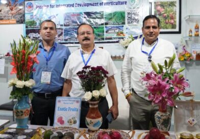 Himachal’s Crop Diversification Model Earns Global Recognition