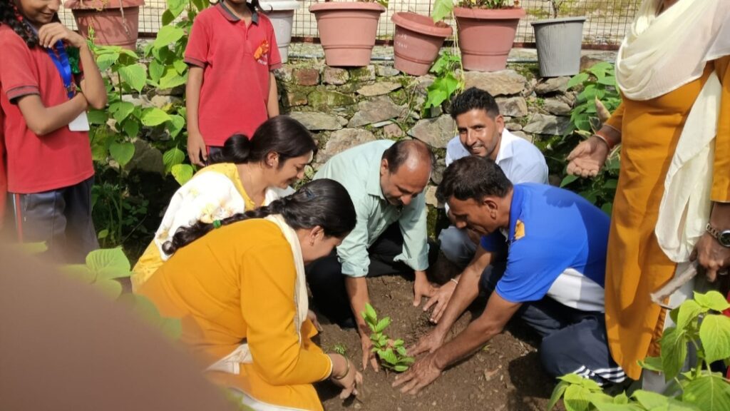 Over 100 saplings planted at Peeran School HIMACHAL HEADLINES