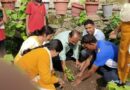Over 100 saplings planted at Peeran School