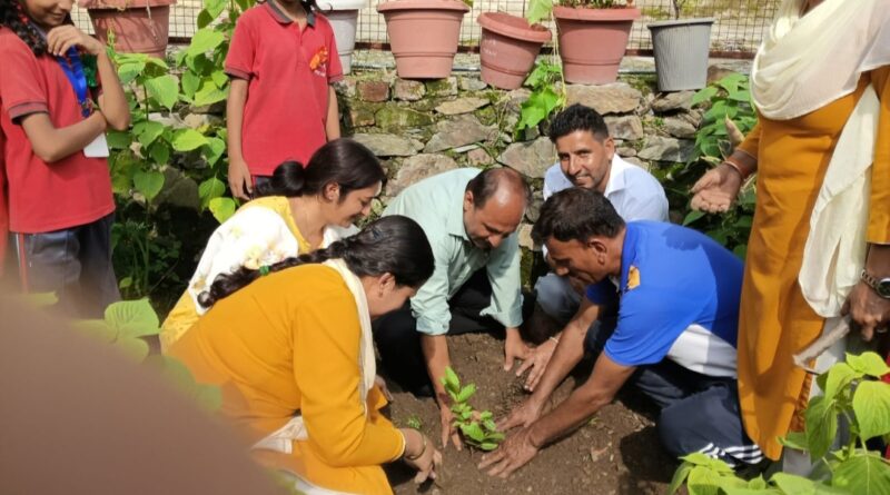Over 100 saplings planted at Peeran School