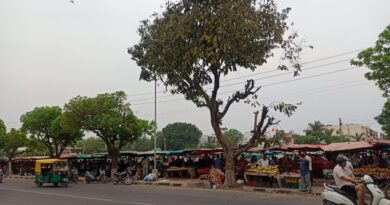 Himachal Pradesh State Agricultural Marketing Board approves Green Market at Ghumarwin HIMACHAL HEADLINES