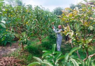 Over 41,000 Una Farmers Go Digital with AgriStack for Seamless Scheme Benefits