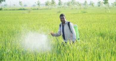 Over 41,000 Una Farmers Go Digital with AgriStack for Seamless Scheme Benefits HIMACHAL HEADLINES