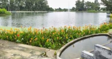 Haroli's Dying Ponds Are Getting a Second Chance – And It's a Game Changer for Water Security HIMACHAL HEADLINES