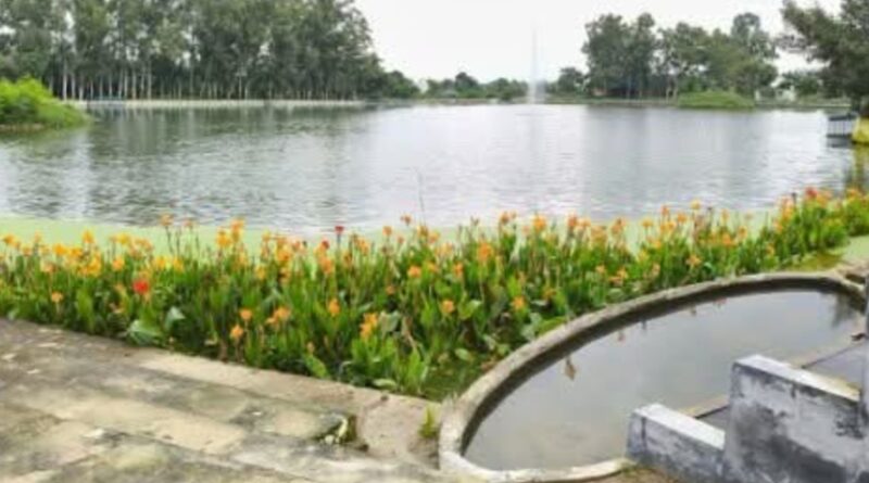 Haroli's Dying Ponds Are Getting a Second Chance – And It's a Game Changer for Water Security HIMACHAL HEADLINES