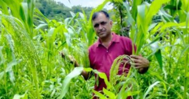 How Lalit Kalia Turned His Farm into a Thriving Mixed-Crop Haven