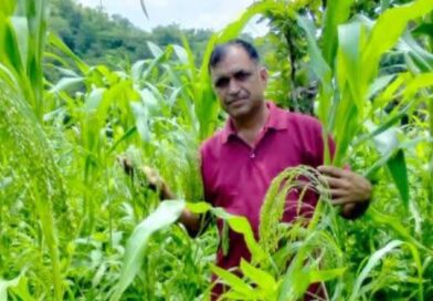 How Lalit Kalia Turned His Farm into a Thriving Mixed-Crop Haven
