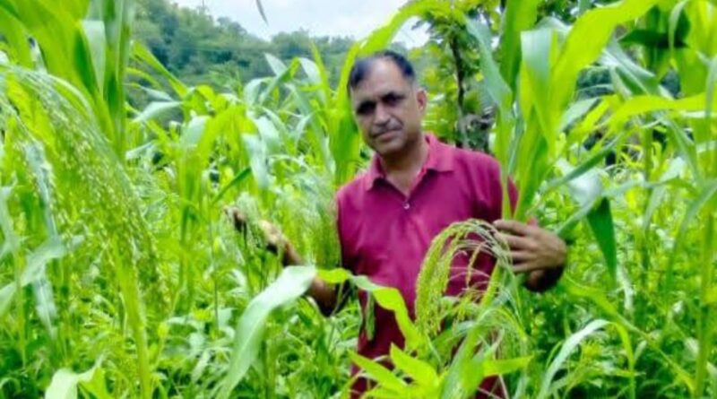 How Lalit Kalia Turned His Farm into a Thriving Mixed-Crop Haven