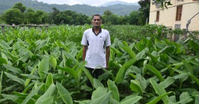 Mandi District Emerging as a Frontrunner in Promoting Natural Farming