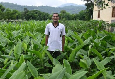 Mandi District Emerging as a Frontrunner in Promoting Natural Farming
