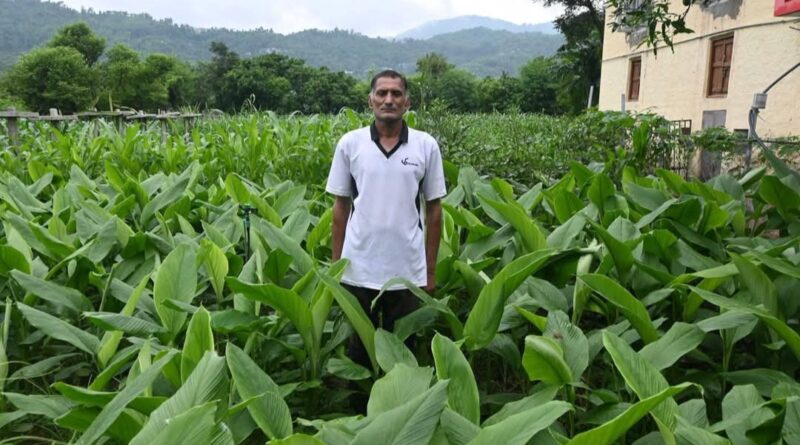 Mandi District Emerging as a Frontrunner in Promoting Natural Farming