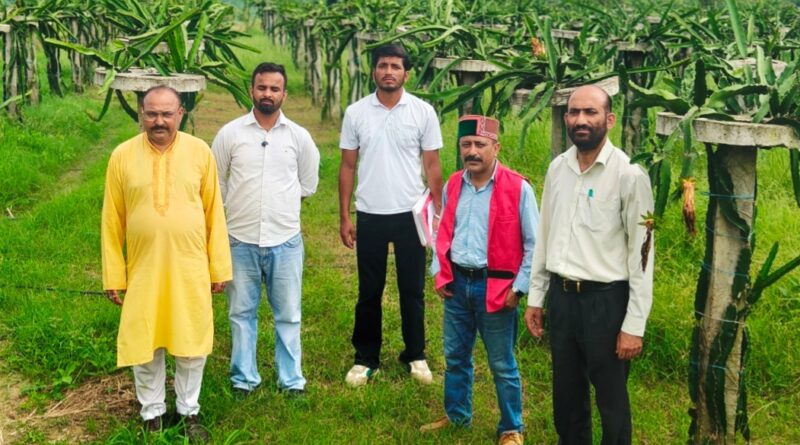 Horticulture team reaches out to the field to implement HP-Shiva project Horticulture team reaches out to the field to implement HP-Shiva project HIMACHAL HEADLINES