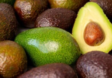 From Apples to Avocados: Himachal Farmers Explore a Profitable New Horizon in Horticulture