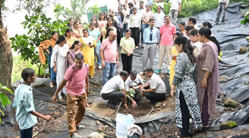 COHF Neri Celebrates Foundation Day with Vanmahotsav HIMACHAL HEADLINES