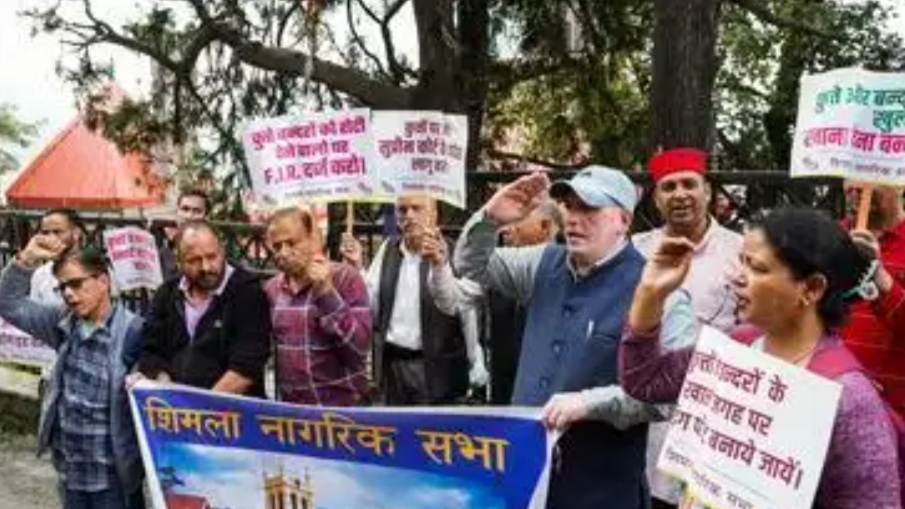 Shimla Residents Protest Rising Monkey and Stray Dog Attacks After Woman’s Death HIMACHAL HEADLINES