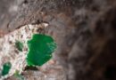 Uranium Found in Groundwater of Parts of Himachal, IIT Mandi Study