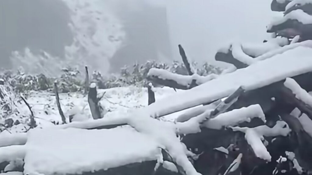 Rain Returns to Himachal as Kinnaur Sees Season’s First Snowfall HIMACHAL HEADLINES