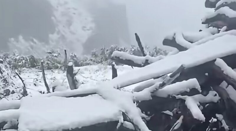 Rain Returns to Himachal as Kinnaur Sees Season’s First Snowfall HIMACHAL HEADLINES