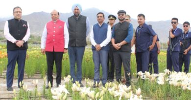 Where Flowers Touch the Sky: Ladakh Blooms with India’s Highest Lilium Garden Where Flowers Touch the Sky: Ladakh Blooms with India’s Highest Lilium Garden
