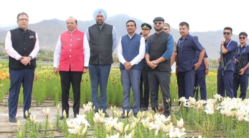 Where Flowers Touch the Sky: Ladakh Blooms with India’s Highest Lilium Garden HIMACHAL HEADLINES