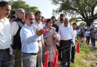 Himachal Govt to pay 800 Cr to SJVNL to take back Dhaulasidh Project: Sukhu