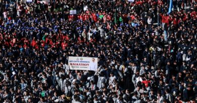 Himachal Steps Up War Against Chitta with Tough Enforcement, Public Support and Rehabilitation Push